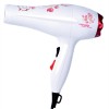 揭陽(yáng)電吹風(fēng)廠家直銷(xiāo)家用靜音大功率吹風(fēng)機(jī)