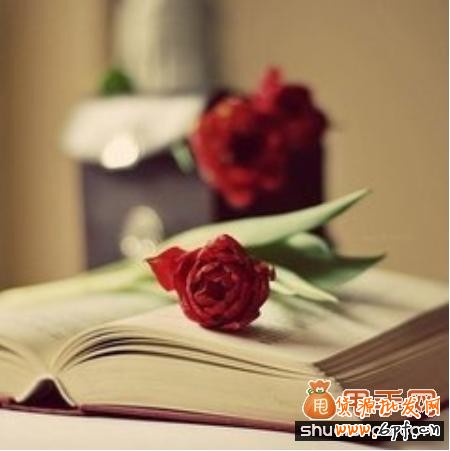 杜絕虛假宣傳中小賣家如何約束自己的行為？2