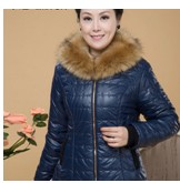 點擊查看大圖