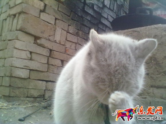 淘寶開店主關鍵詞排名下降怎么救?