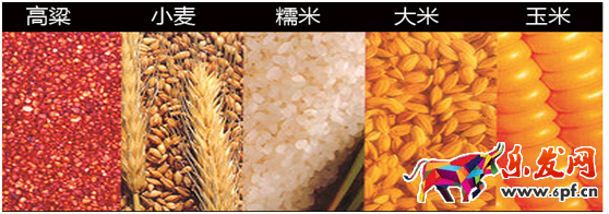 店鋪診斷