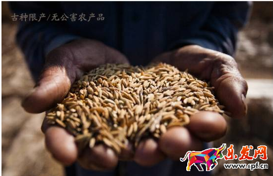 淘寶經(jīng)驗