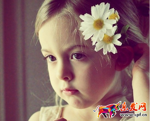qq公眾號紅利期有多久