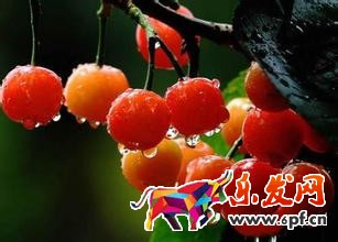 淘寶規(guī)則