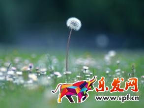 淘寶經驗