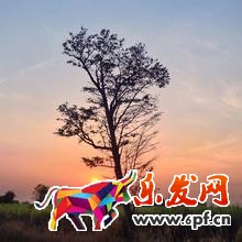 現(xiàn)在開(kāi)淘寶還來(lái)得及嗎.jpg