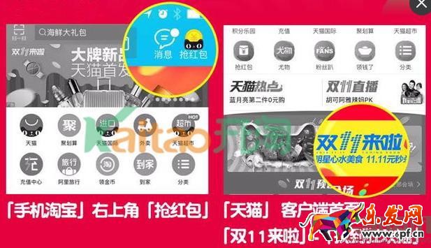 雙十一捉貓貓怎么搜索附近的貓? 雙十一捉貓貓怎么搜索附近的貓?