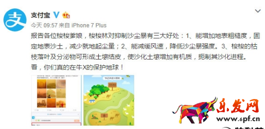 支付寶種樹有什么用