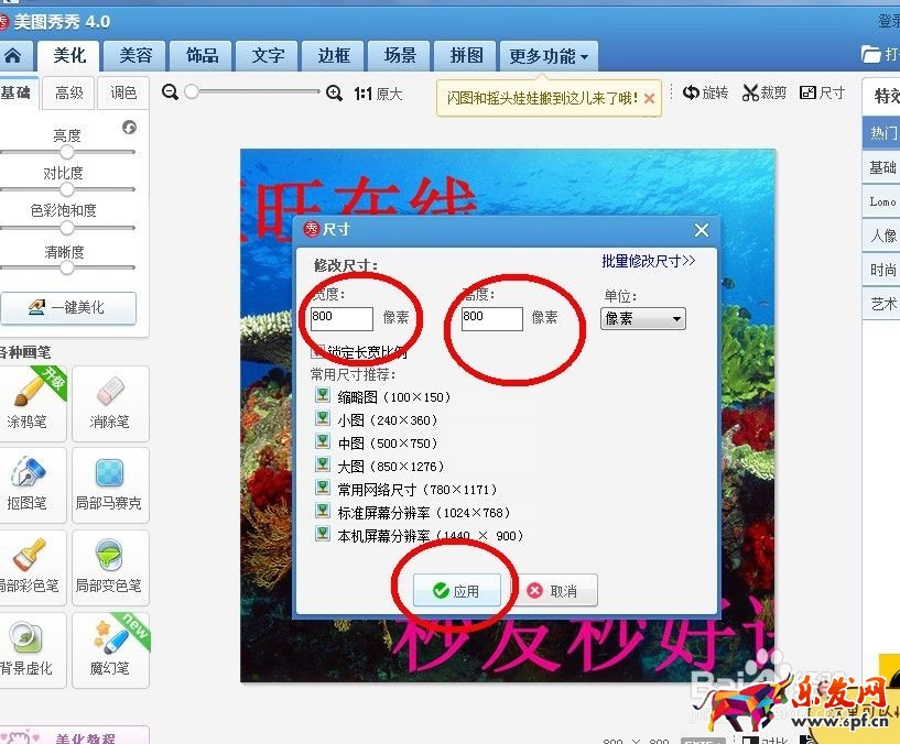 淘寶主圖尺寸有規(guī)定嗎