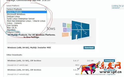 MySQL下載安裝、配置與使用（win7x64）