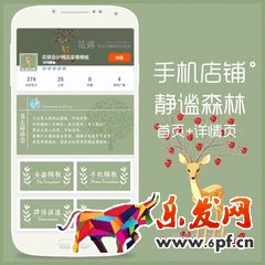 2017淘寶手機(jī)店鋪裝修