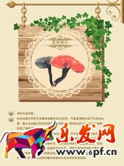 淘寶店鋪怎么做詳情頁