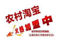 農村淘寶加盟要多少錢?要怎樣加入？