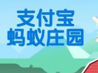 螞蟻莊園怎么防止搶食？支付寶螞蟻莊園怎么養小雞？