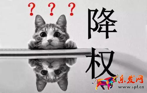 一條網線多開店鋪降權多久.jpg