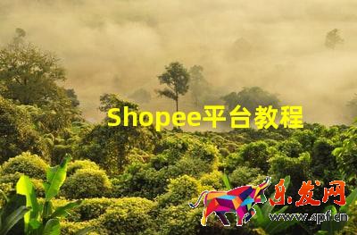 Shopee平臺教程:Shopee怎么開店?Shopee如何開店鋪呢?