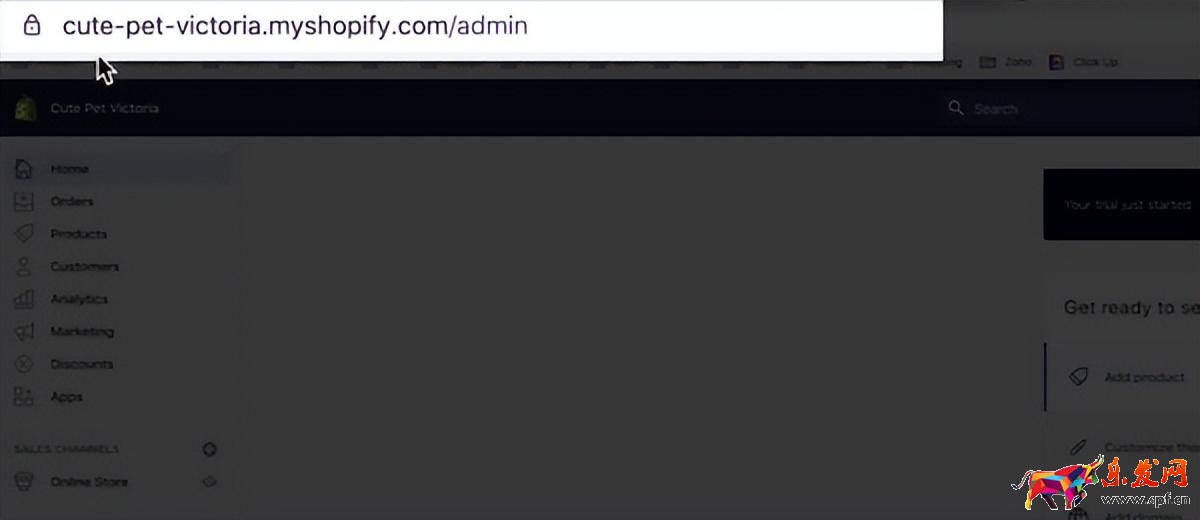 shopify如何開店手續(xù)費多少（shopify入駐條件及費用）